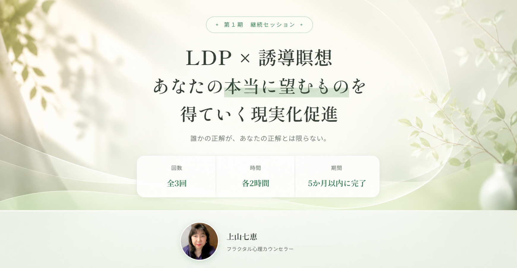 第１期 継続セッション｜LDP × 誘導瞑想 あなたの本当に望むものを得ていく現実化促進｜上山七恵