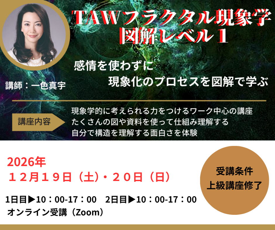 TAWフラクタル現象学図解レベル1